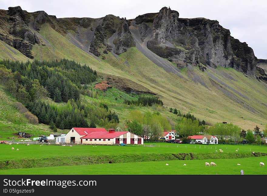 Icelandic farm