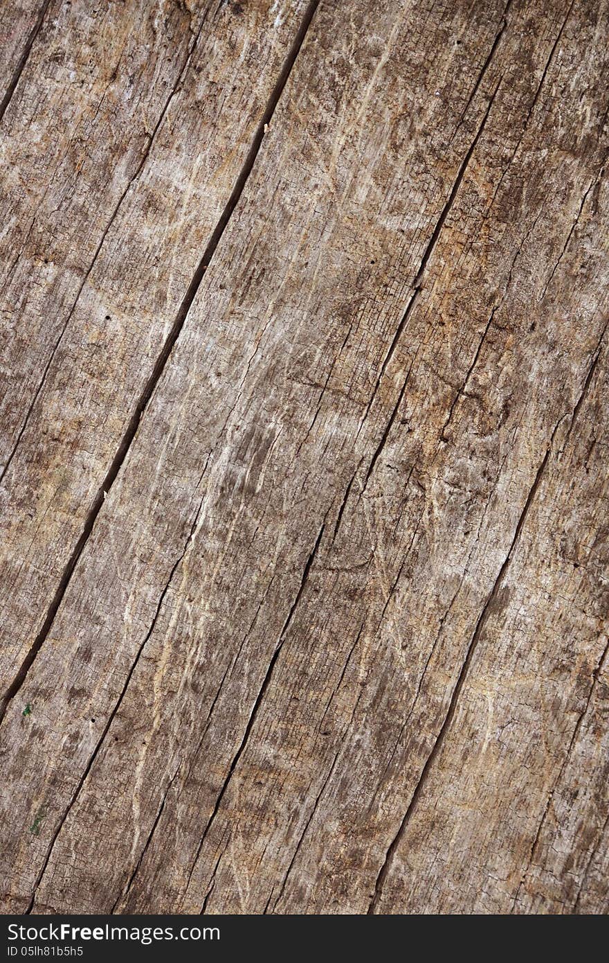 Wooden texture