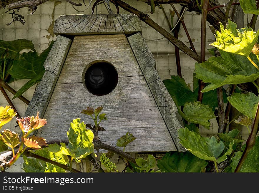 Birdhouse with a little bird inside