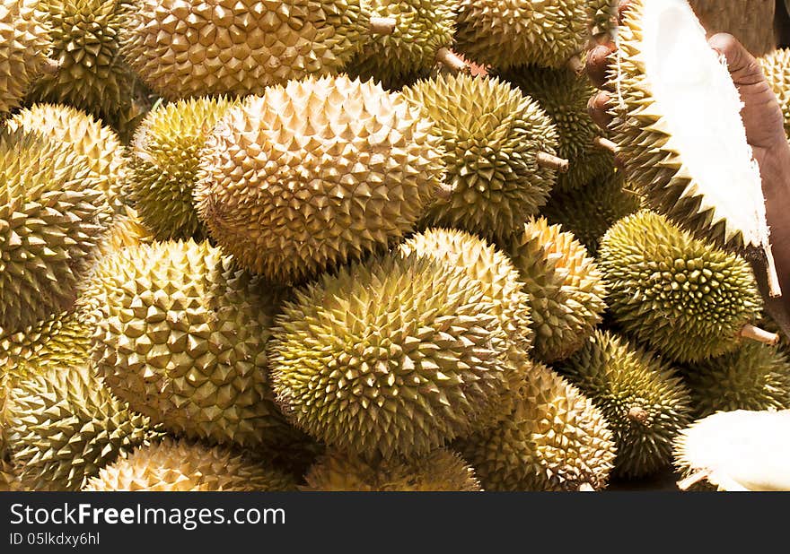 Durian and hand holding the cut fruit