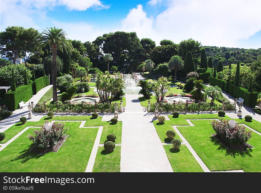 Lanscape of garden with ornamental bushes. Lanscape of garden with ornamental bushes