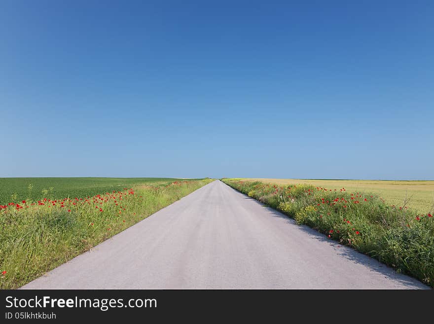 Empty road through agricultural land