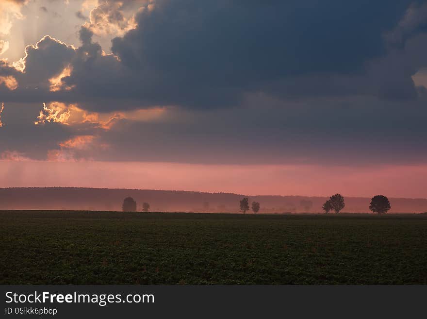 Foggy Morning On Agricultural Land