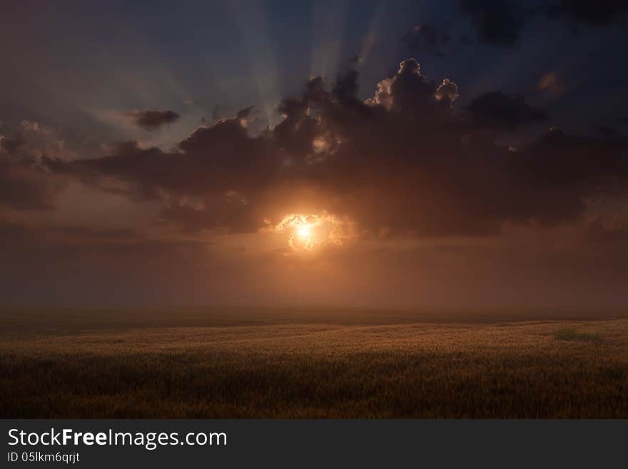 Magical rising sun over a field of wheat