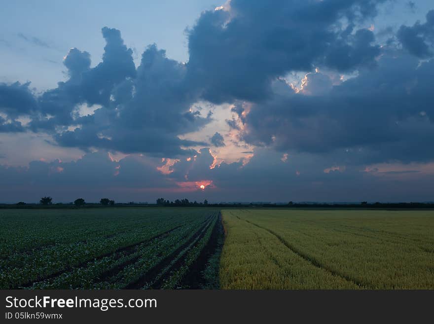 Rising sun over agricultural land