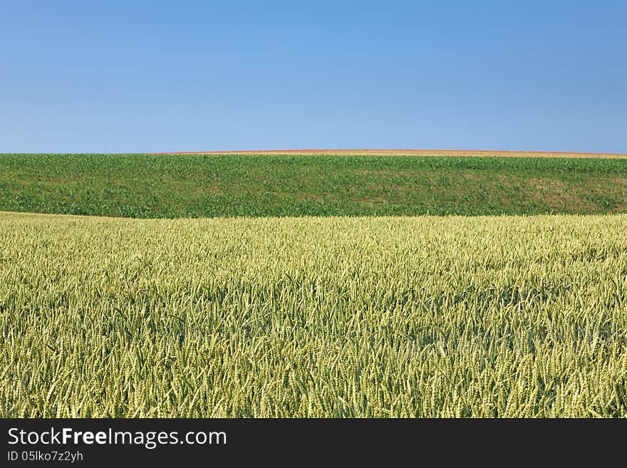 Rolling fields of agricultural land