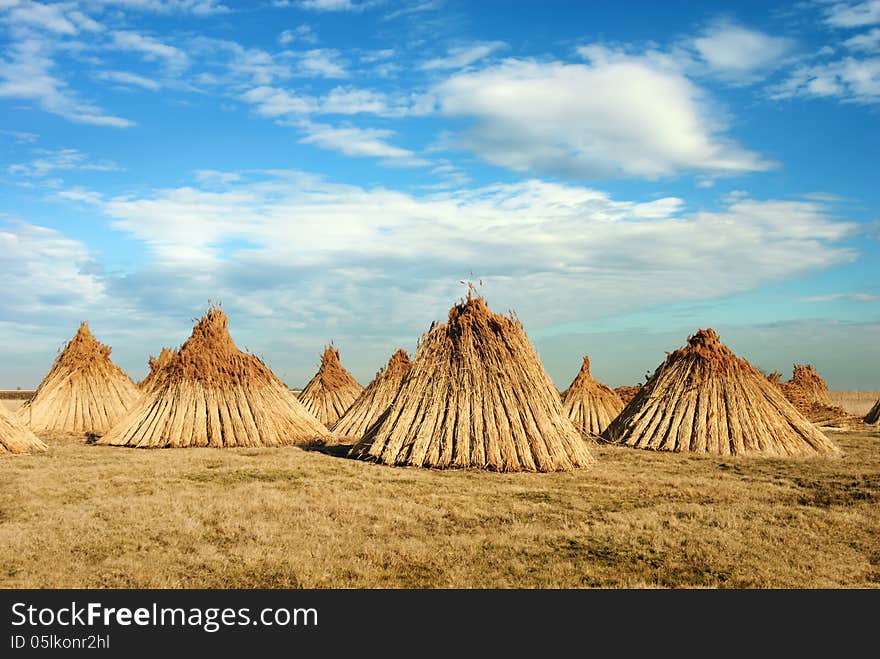 Stacks Of Cane In A Conical Shape.