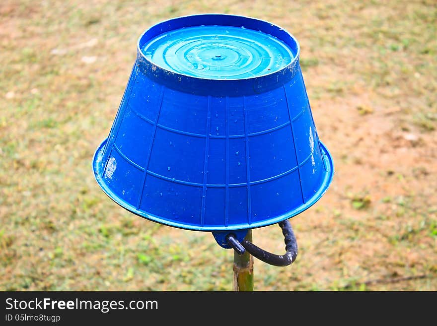 Blue water bucket inverted in the garden. Blue water bucket inverted in the garden