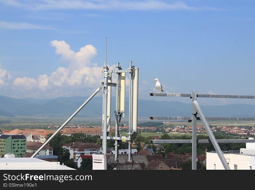 Seagull standing near antennas and looking carreful