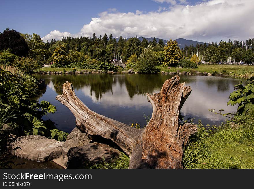 Devonian Harbour Park