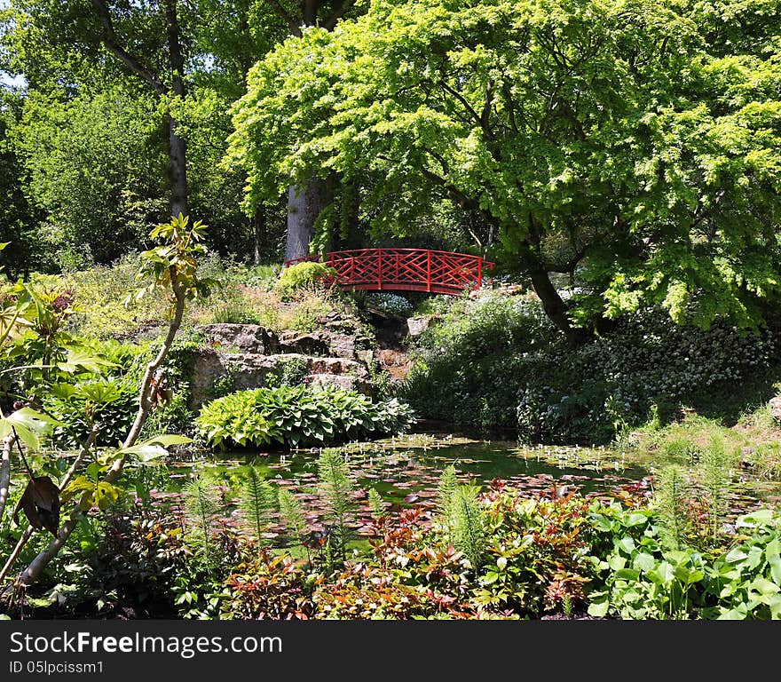 Lily Pond with Japanese bridge