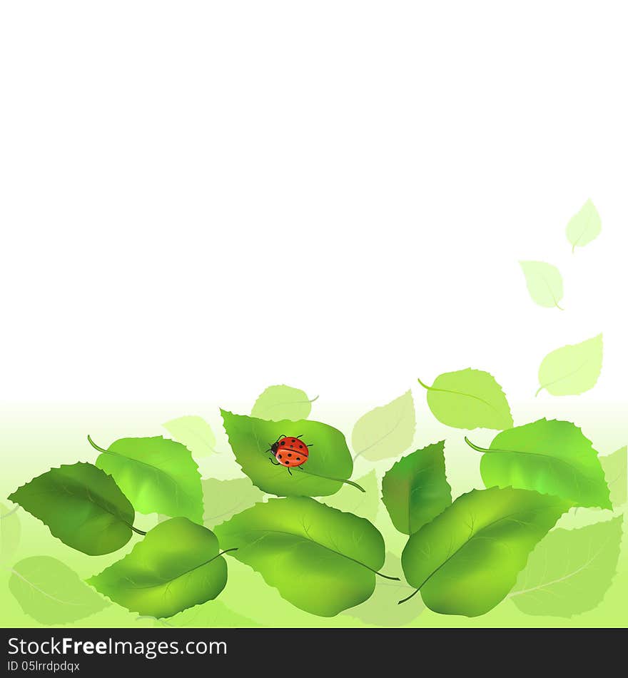 Summer Background With Green Leaves