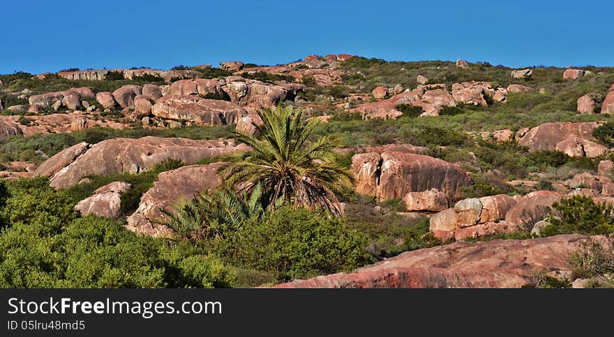 Landscape with granite boulders at St Helena Bay South Africa