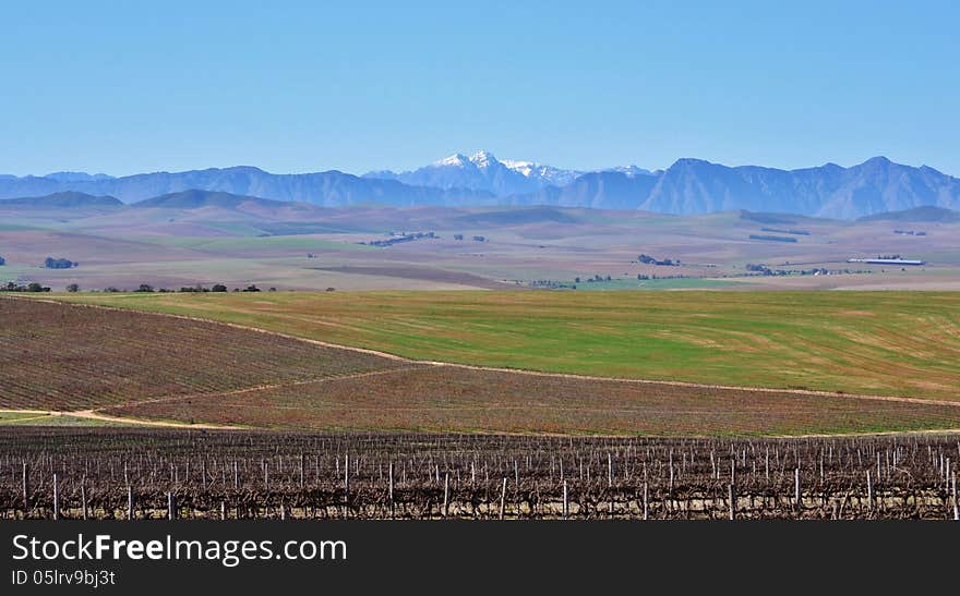 Landscape with fields and Ceres Mountains