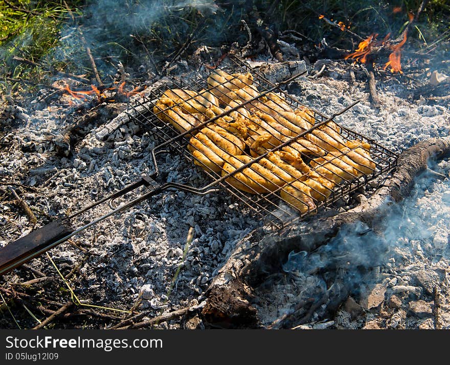 Juicy roasted kebabs on the BBQ