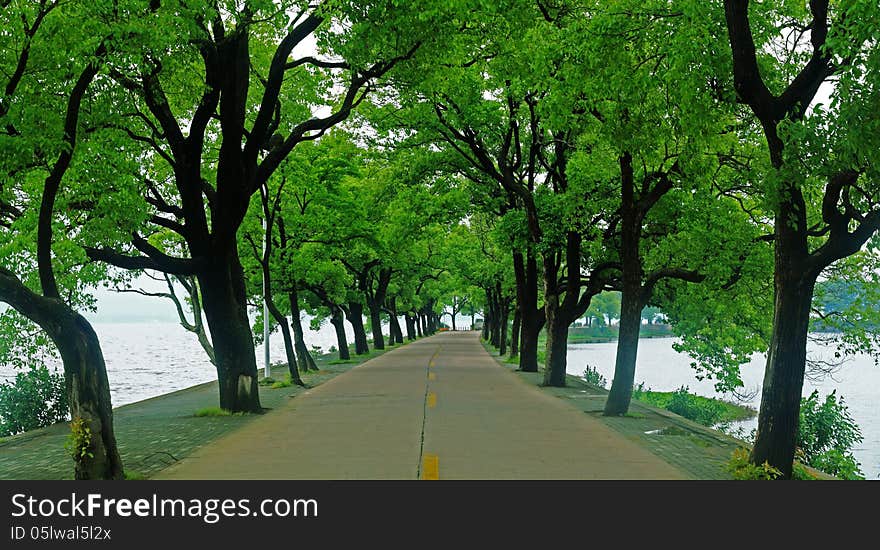 road by the lake