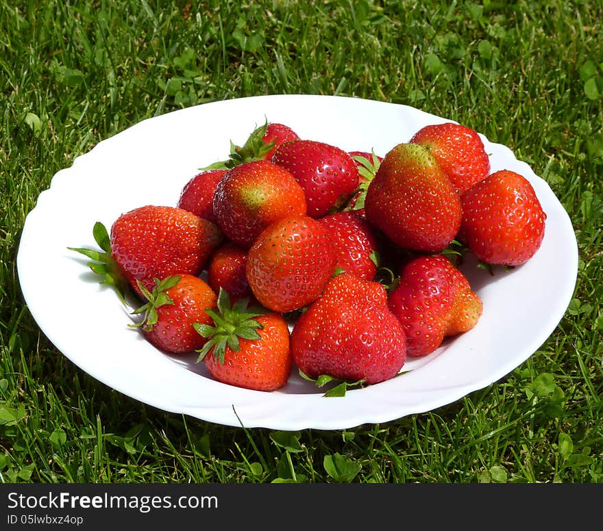 Fresh Strawberry fruits