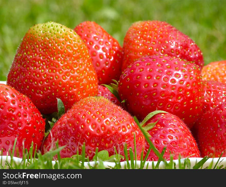 Plate full of fresh strawberries on the green lawn