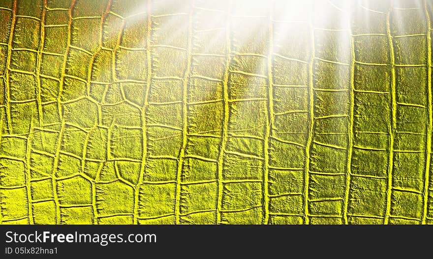 Sunlight in gold leather texturefor background