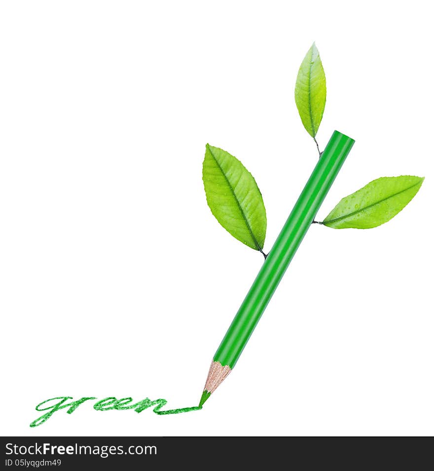 Green pencil with green leaves isolated on a white background