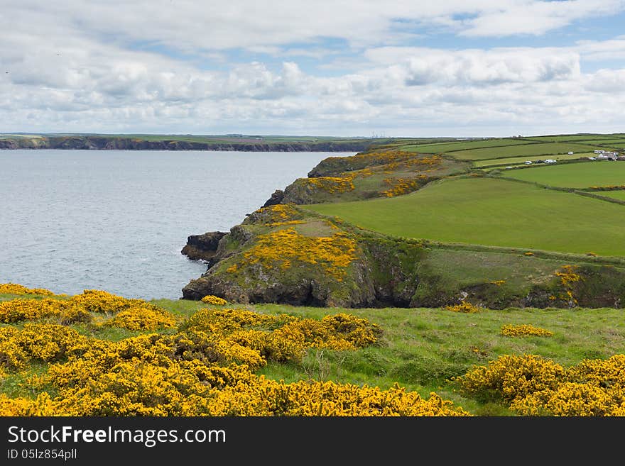 Marloes and St Brides bay West Wales coast near Skoma island