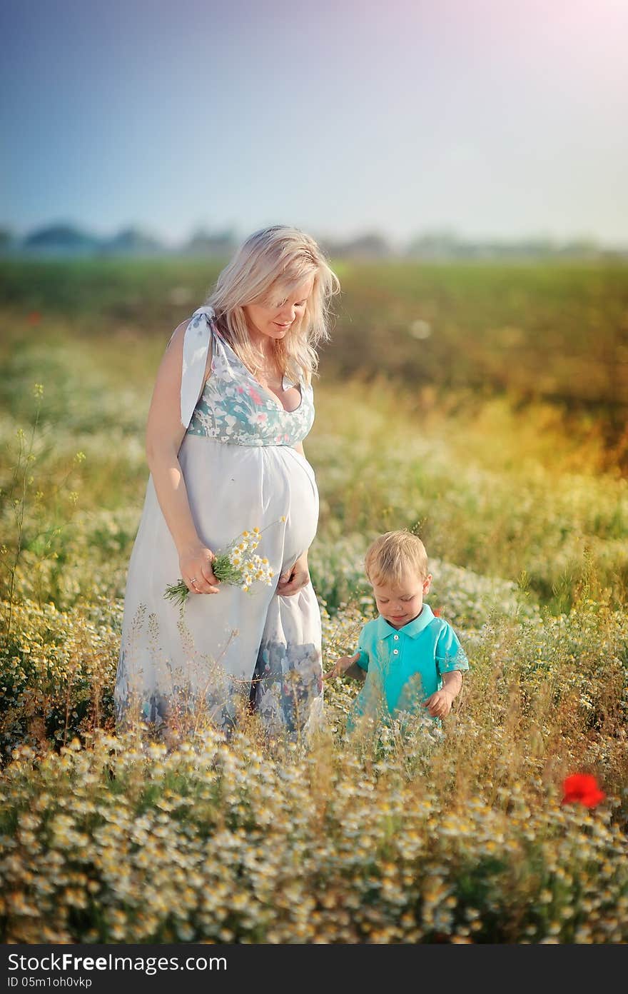 Summer walk on the field chamomile pregnant mother with a young son