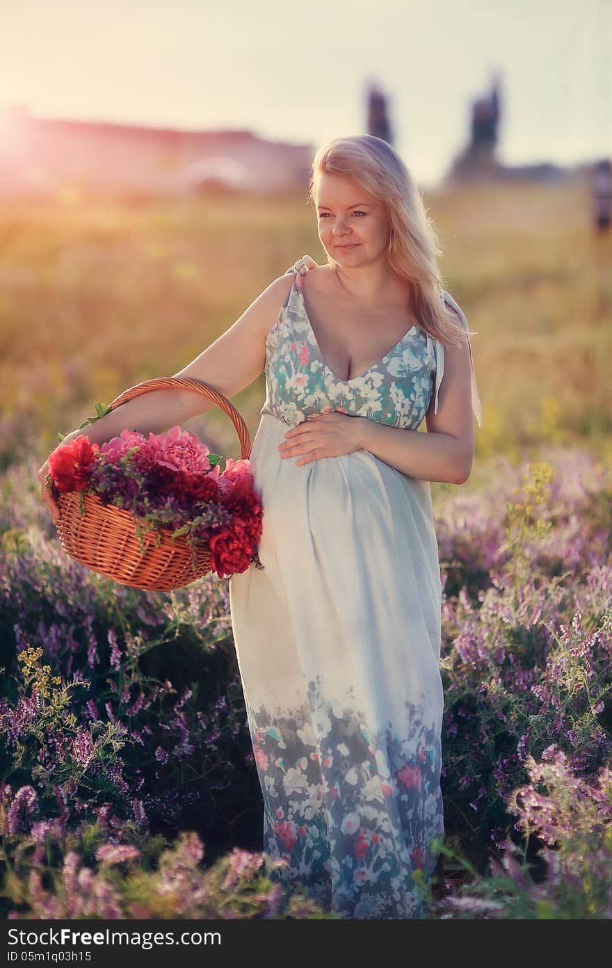 At sunset walks on the field a pregnant woman with a basket of flowers. At sunset walks on the field a pregnant woman with a basket of flowers