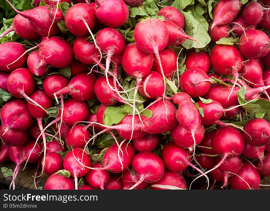 Close up photograph of a Fresh Bunch of Bright Red Radish. Close up photograph of a Fresh Bunch of Bright Red Radish