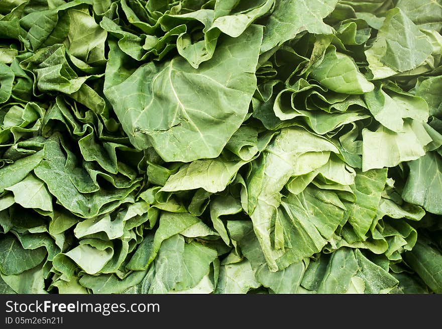 Close up photograph of a Fresh Bunch of Spinach. Close up photograph of a Fresh Bunch of Spinach