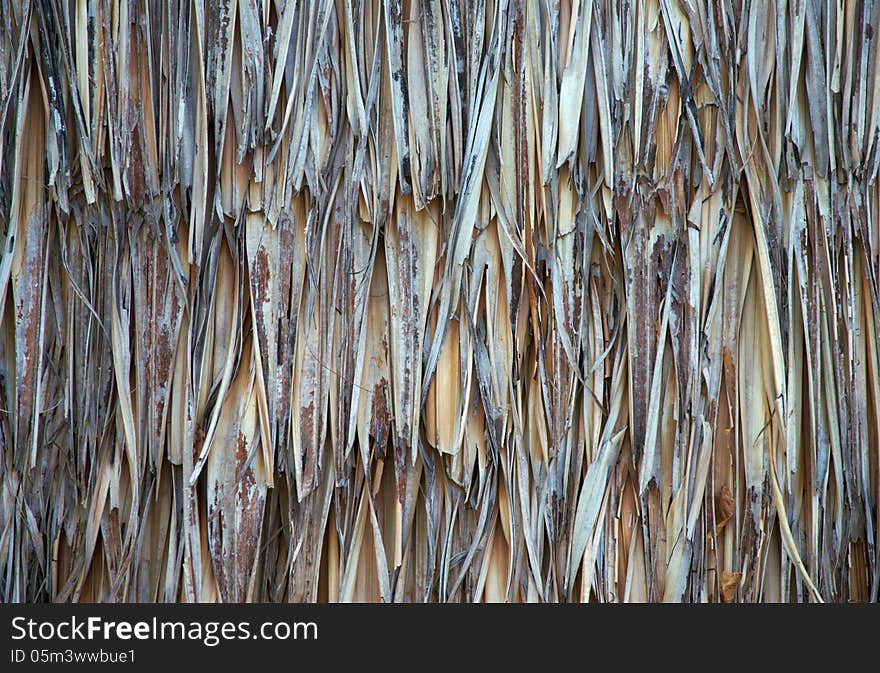 Close up straw background. Texture of straw. Close up straw background. Texture of straw