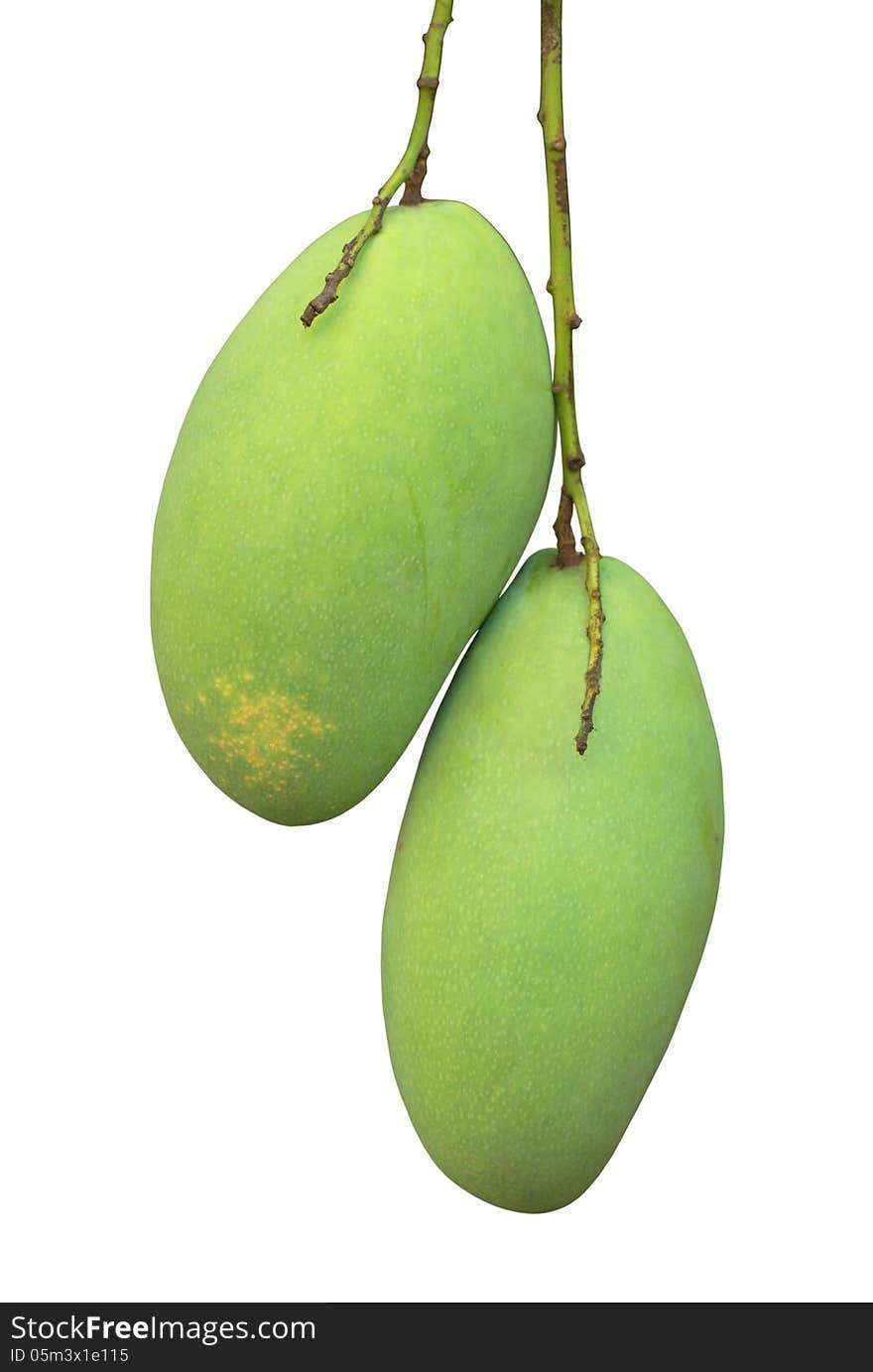 Green mango on white background