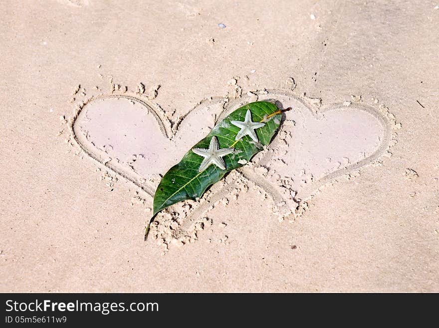 Drawn hearts and starfishes on wet sand