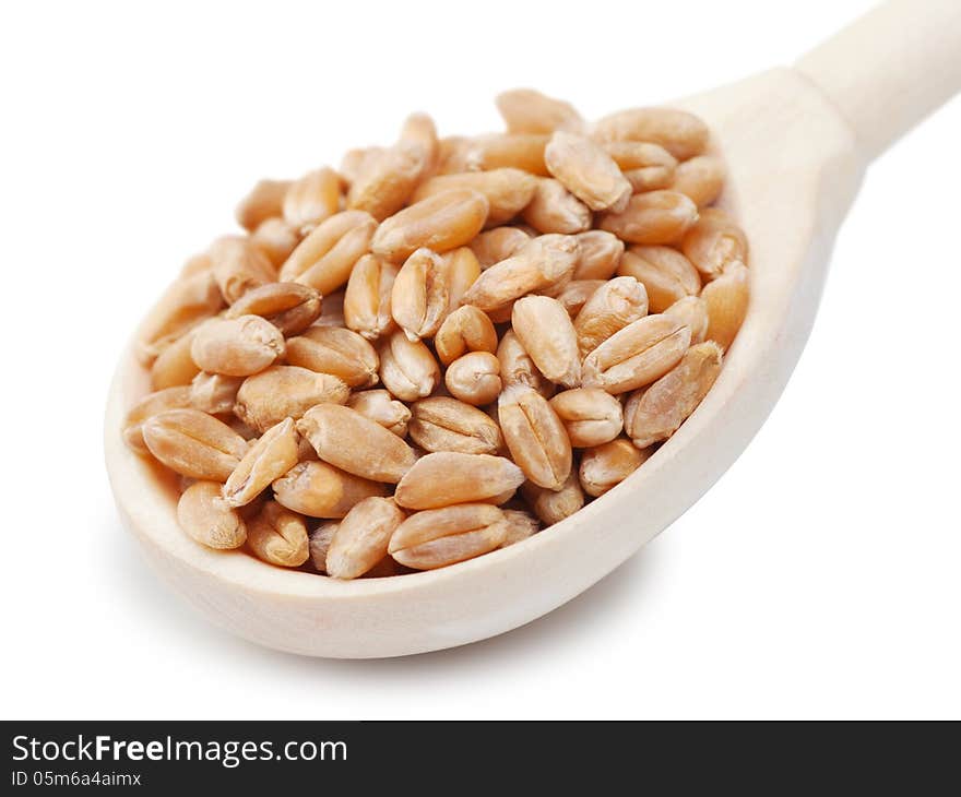 Wheat grains in wooden spoon. Wheat grains in wooden spoon