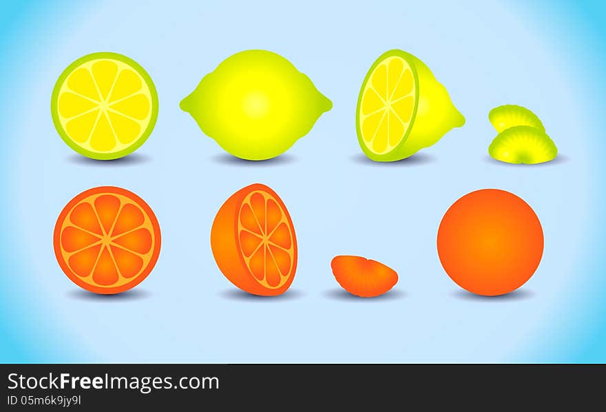 Lemon lime  orange cutted  citrus set. Lemon lime  orange cutted  citrus set