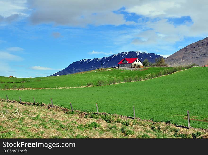 Red white house and mountain in Iceland