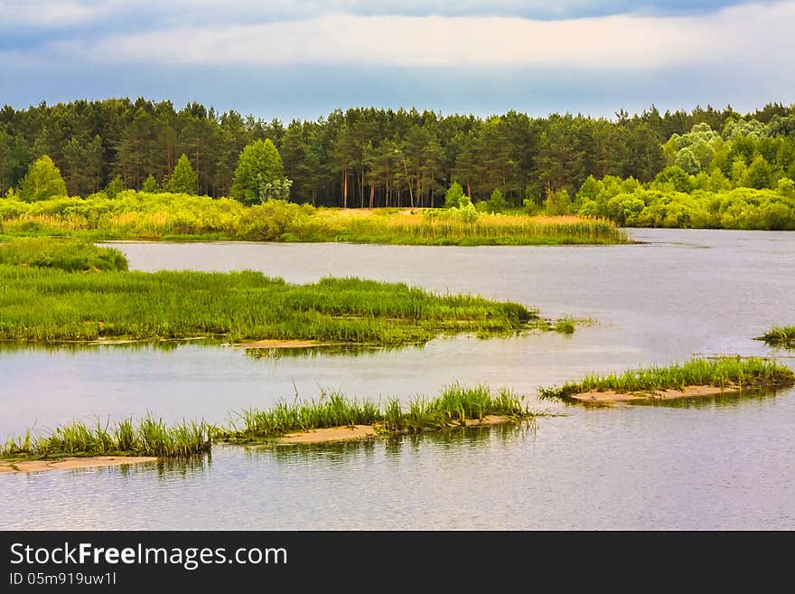 Summer Forest River With Small Islands. Summer Forest River With Small Islands