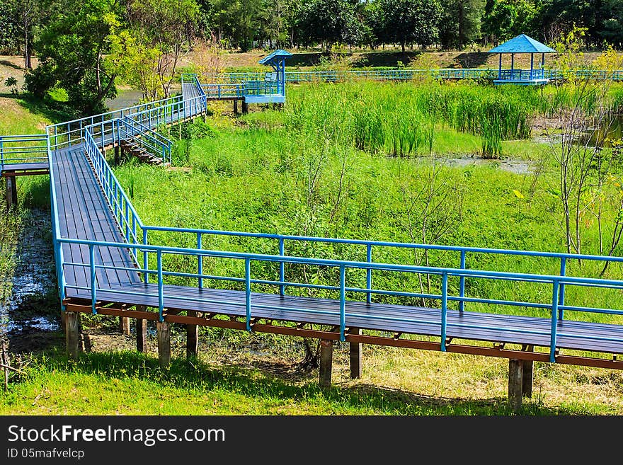 Wooden Walkway above Wet Land