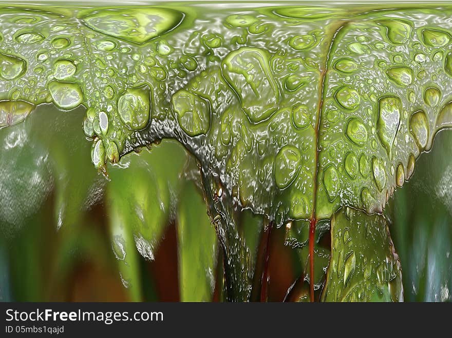 Green background - leaf water drops