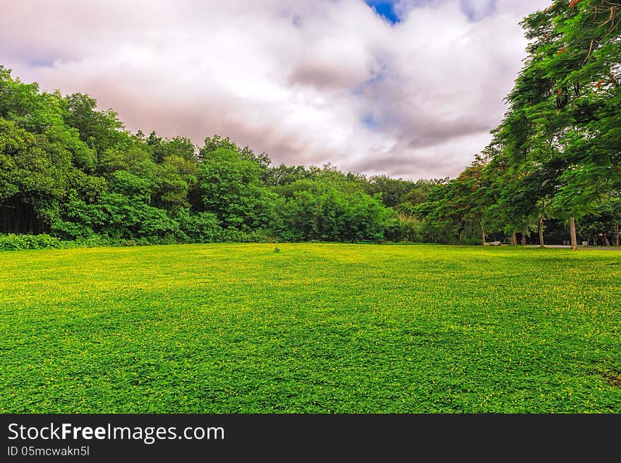 The Beautiful Lawn_scenery