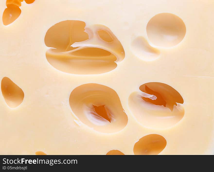 Close up cheese with holes