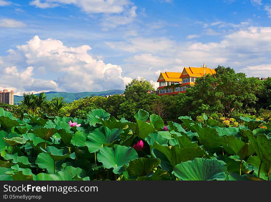 The image taken in china's yunnan province xishuangbanna prefecture Jinghong city Manting park scenic spot. The image taken in china's yunnan province xishuangbanna prefecture Jinghong city Manting park scenic spot.