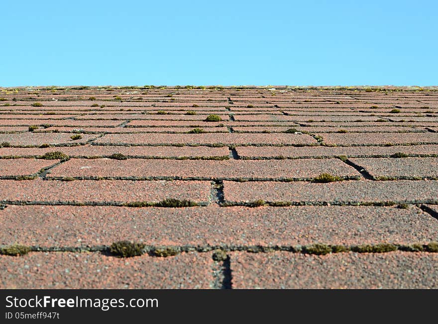 Old Shingle Roof Overgrown With Moss