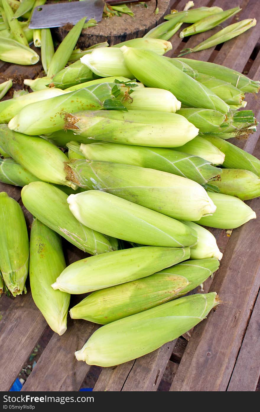 Corn crop that is both people and pets. The plant life of learning for my taste gradually. Widely cultivated in Europe and Asia. Corn crop that is both people and pets. The plant life of learning for my taste gradually. Widely cultivated in Europe and Asia.