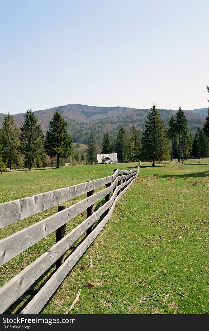 Green meadow with fence