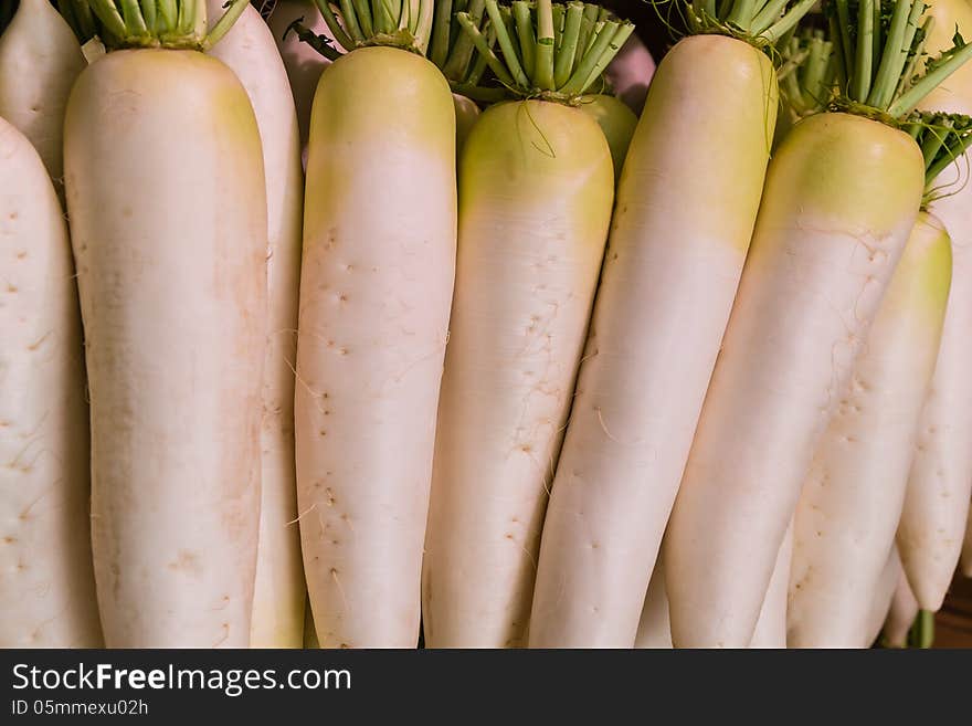 Group of japanese radish