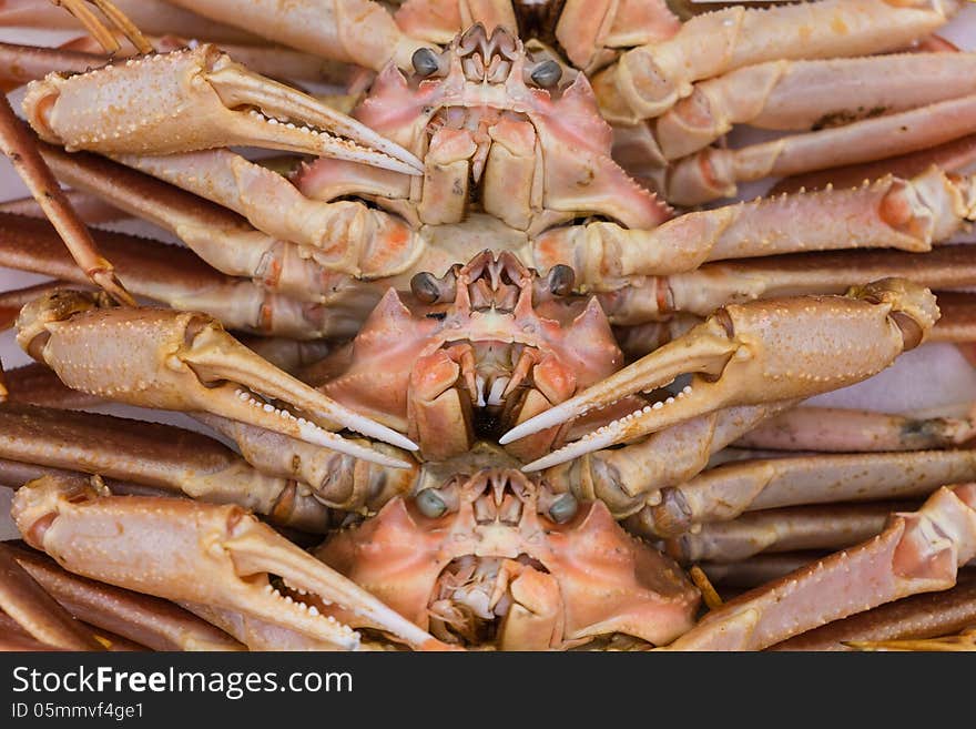 Japanese big crab