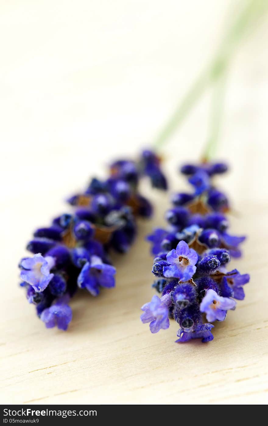 Macro photo of lavender on wooden desk