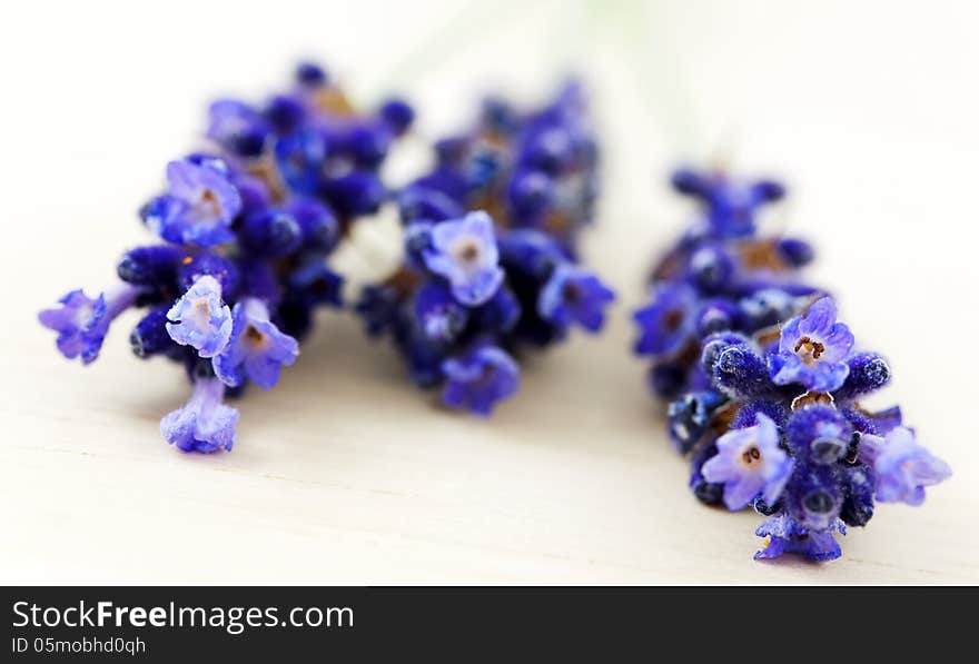 Macro photo of lavender on wooden desk