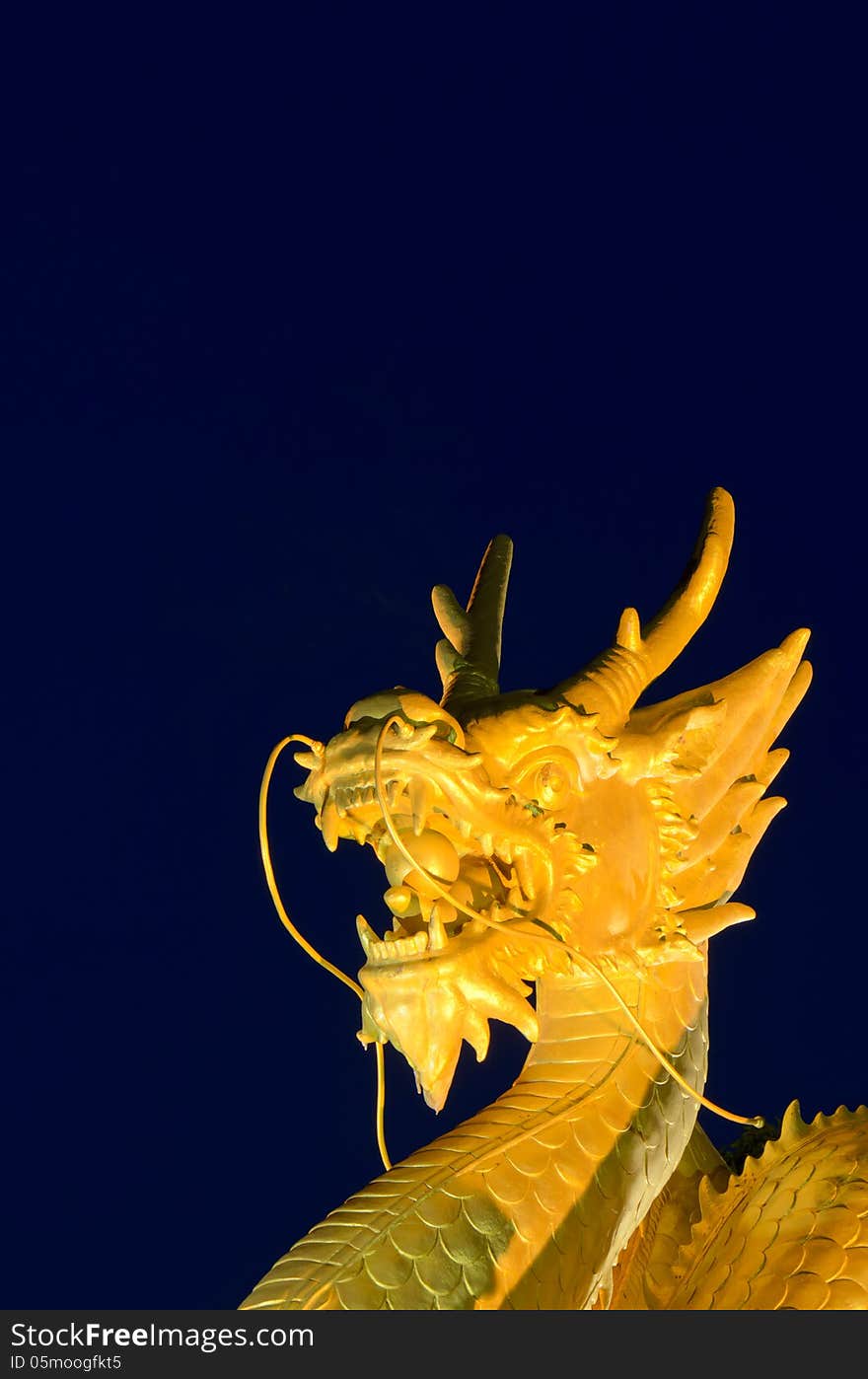 Golden dragon on blue background. Golden dragon on blue background