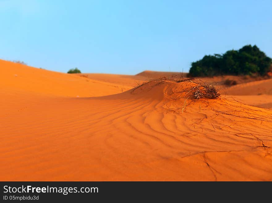 Red Sand Dunes Vietnam in Mui Ne, Vietnam. Red Sand Dunes Vietnam in Mui Ne, Vietnam